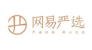 伙伴六