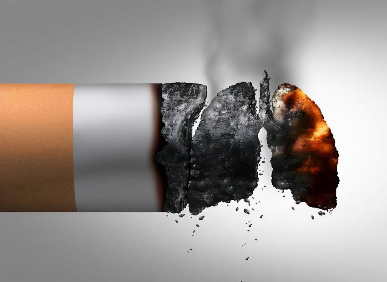 烟用爆珠是什么成分_烟用爆珠是怎么做出来的_烟用爆珠是什么