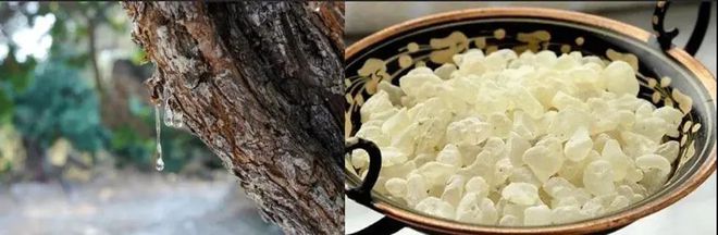 爆珠口气清新糖怎么吃_口香爆珠糖有副作用_爆珠口气清新糖有危害