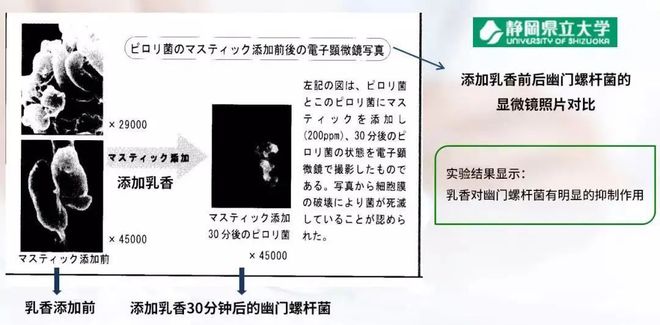 口香爆珠糖有副作用_爆珠口气清新糖怎么吃_爆珠口气清新糖有危害