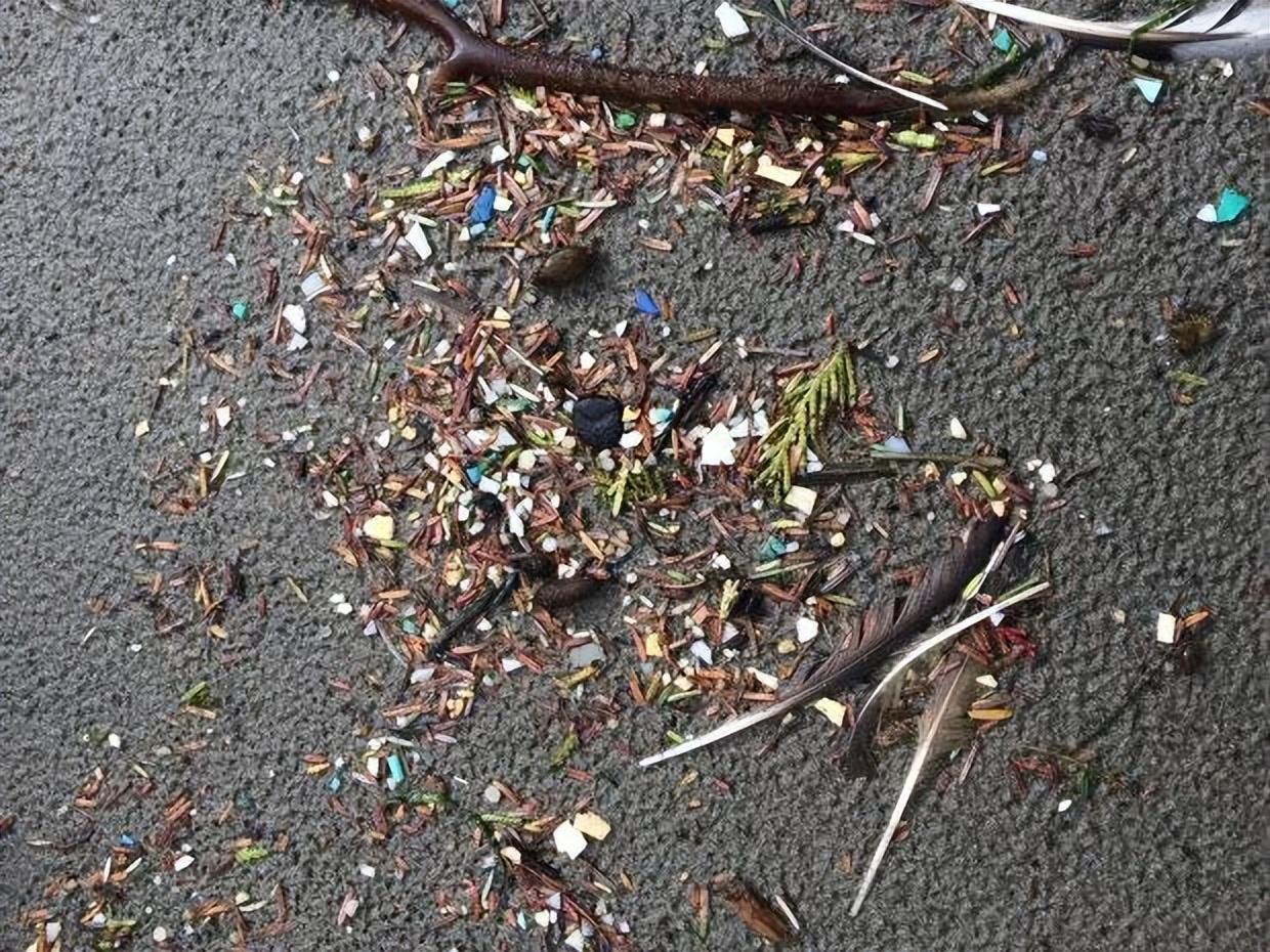 烟用爆珠是什么成分_烟用爆珠是什么东西_烟用爆珠是什么