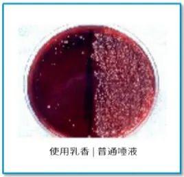 口气清新糖的危害_爆珠糖能清新口气吗_清新口气爆珠怎么用