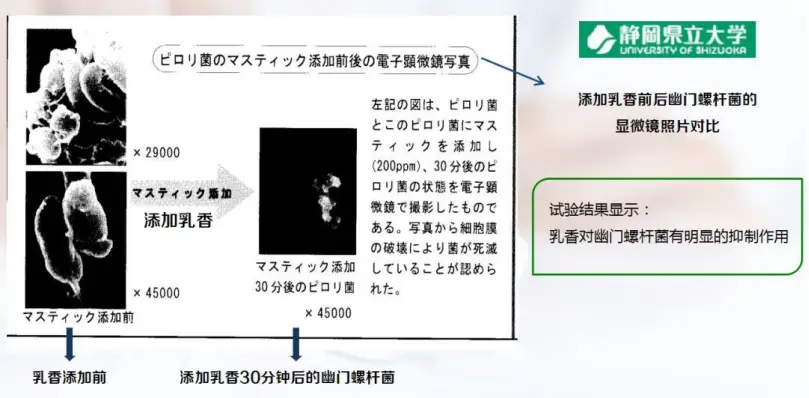 清新口气爆珠怎么用_口气清新爆珠有用吗_口气清新用有爆珠的牙膏