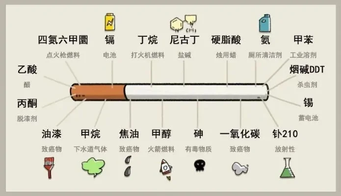 peel官网旗舰店在哪(Peel 官网旗舰店：体验家居清洁的不二之选) - 3 - AH香烟货源网