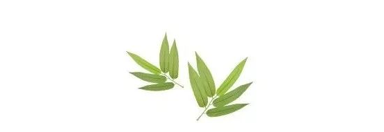爆珠口气清新糖 有危害_口香糖清新口气真的有用吗_爆珠口气清新糖有什么副作用吗