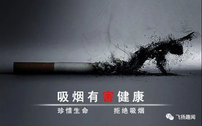 爆珠是什么_爆珠_爆珠烟大全